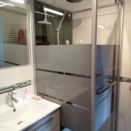 Bel Face Au Paleospace