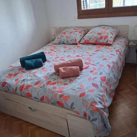 Bel Face Au Paleospace *