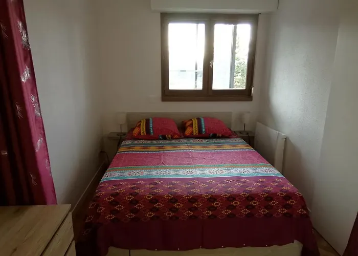 Bel Face Au Paleospace