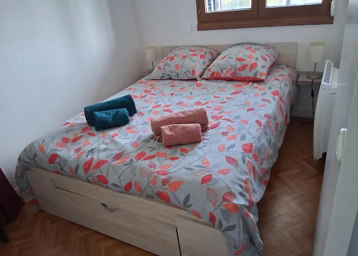 Bel Face Au Paleospace *